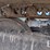 caterpillar-312-image-40