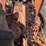 farmall-806-image-45