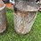 4-milk-cans-image-3