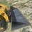 caterpillar-299d3-image-15