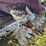 international-manure-spreader-image-24