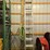 extension-ladder-image-1