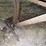 (3)-horse-drawn-implements-image-7