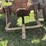 farmall-h-image-52