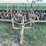 8ft-grain-drill-image-20