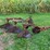 allis-chalmers-3-bottom-snap-coupler-plow-image-4