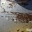 propane-tank-image-9