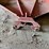 pair-of-international-harvester-farmall-tractor-rear-fenders-with-mounting-brackets-and-pto-shield-image-5