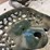 (3)-cast-iron-seats-image-9