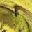 john-deere-4020-image-22
