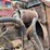 farmall-m-image-59
