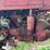 farmall-a-image-37