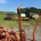 moline-5-bottom-plow-image-6