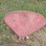 fenders-image-3