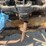 fordson-f-image-13