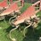international-133-image-12