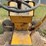 international-cub-image-14