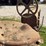 farmall-f-14-image-41