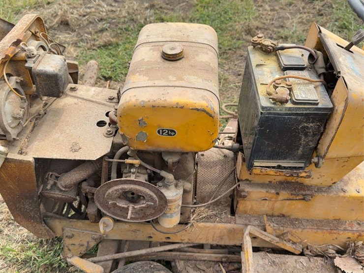 international-cub-image-22