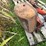 allis-chalmers-tractor-parts-image-5