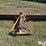 vassar-3-pt-blade-image-6