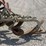fordson-f-image-20