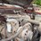 1984-ford-f250-image-74