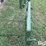 tri-l-2-prong-bale-spear-image-8