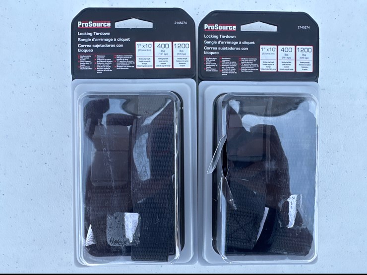 #1027-•-pro-source-1in-x-10ft-locking-tie-down-strap-image-1