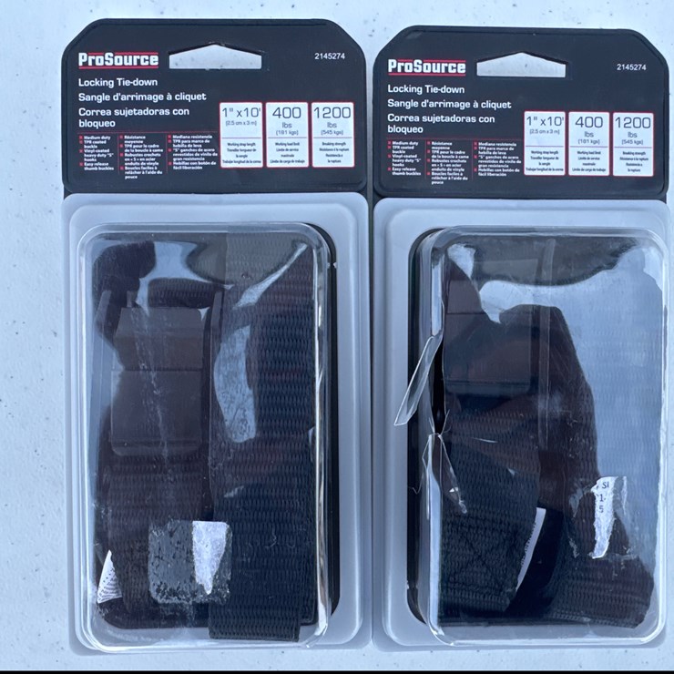 #1027 • PRO SOURCE 1in x 10ft Locking Tie Down Strap