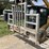peterbilt-389-image-5