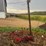 massey-ferguson-sickle-bar-mower-image-4
