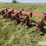case-ih-183-image-5