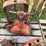 allis-chalmers-tractor-parts-image-4