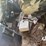 steiger-cougar-ii-image-48