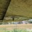 2001-great-dane-53-image-20