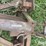 john-deere-3-pt-blade-image-15