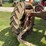 farmall-f-20-image-18