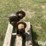 john-deere-60-image-8
