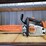 stihl-chain-saw-ms194t-with-accessories-image-1