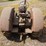 massey-harris-44d-special-image-6
