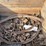 allis-chalmers-20-35-image-54