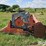 massey-ferguson-1859-image-8