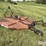 bush-hog-257r-image-7