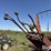 new-holland-1033-image-9