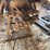 mccormick-deering-10"-burr-mill-image-7