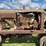 farmall-f-20-image-33