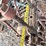 dempster-antique-belt-driven-well-pump-image-8