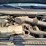 2000-ford-f250-image-18