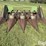 john-deere-443-image-2